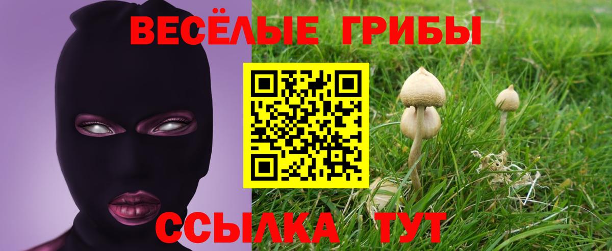 закладка  Вход с VPN  Лосино-Петровский  Галлюциногенные грибы прущие грибы 