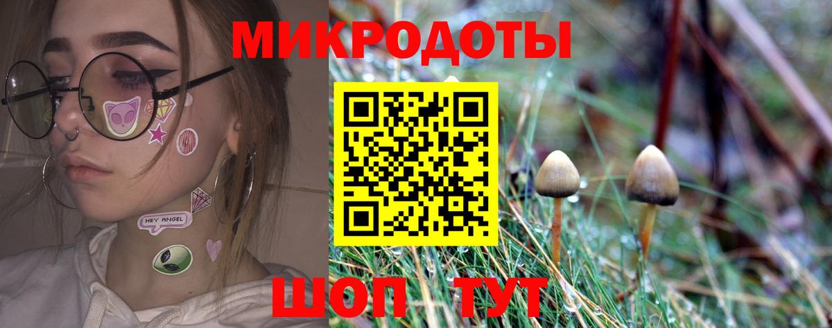 Псилоцибиновые грибы Psilocybe Лосино-Петровский